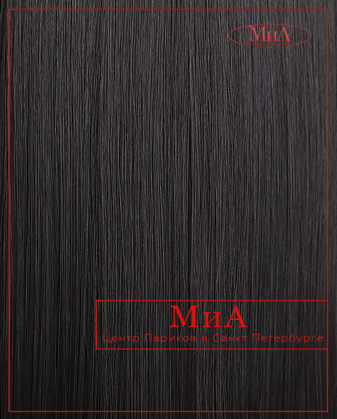 LINA 889  termo (4)
