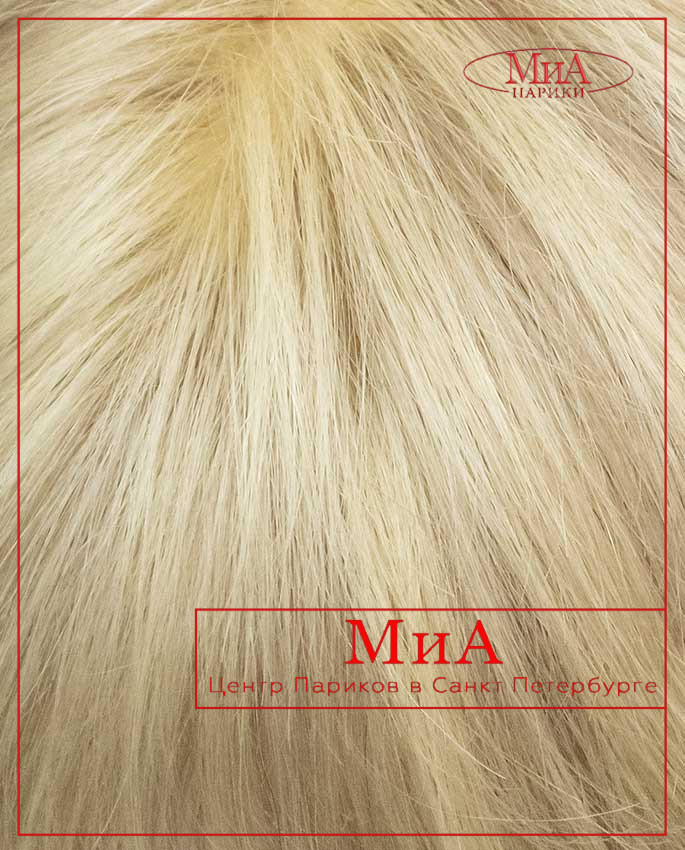 BELLA HH (FC 390-6" (S))  (P 8/613)