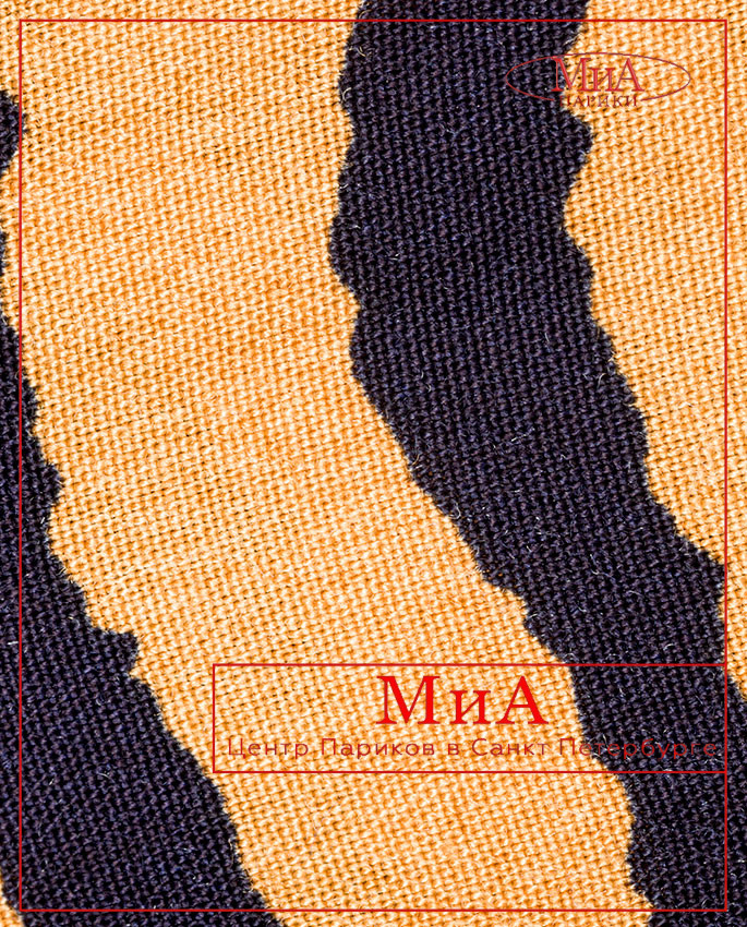 AMA FINA (tiger)