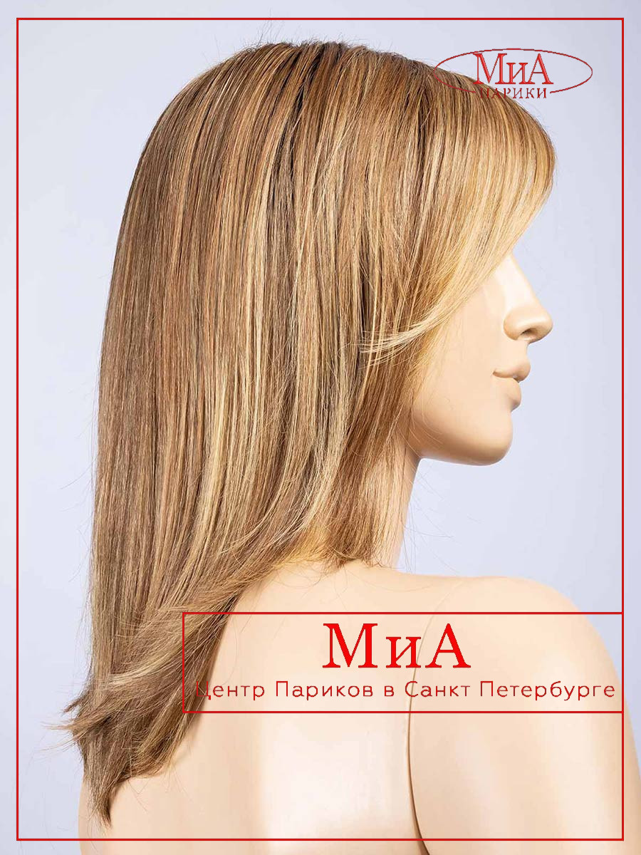 bernstein-multi-shad