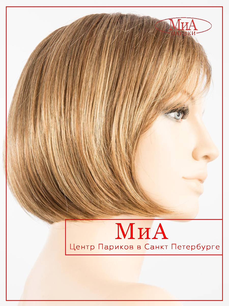 _PB vista-bernstein-rooted