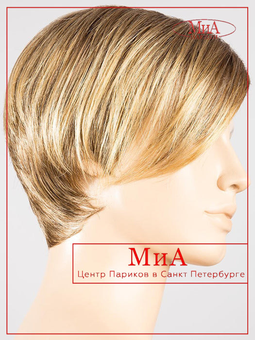 disc-bernstein-rooted_8.26.19_1_1024x1024