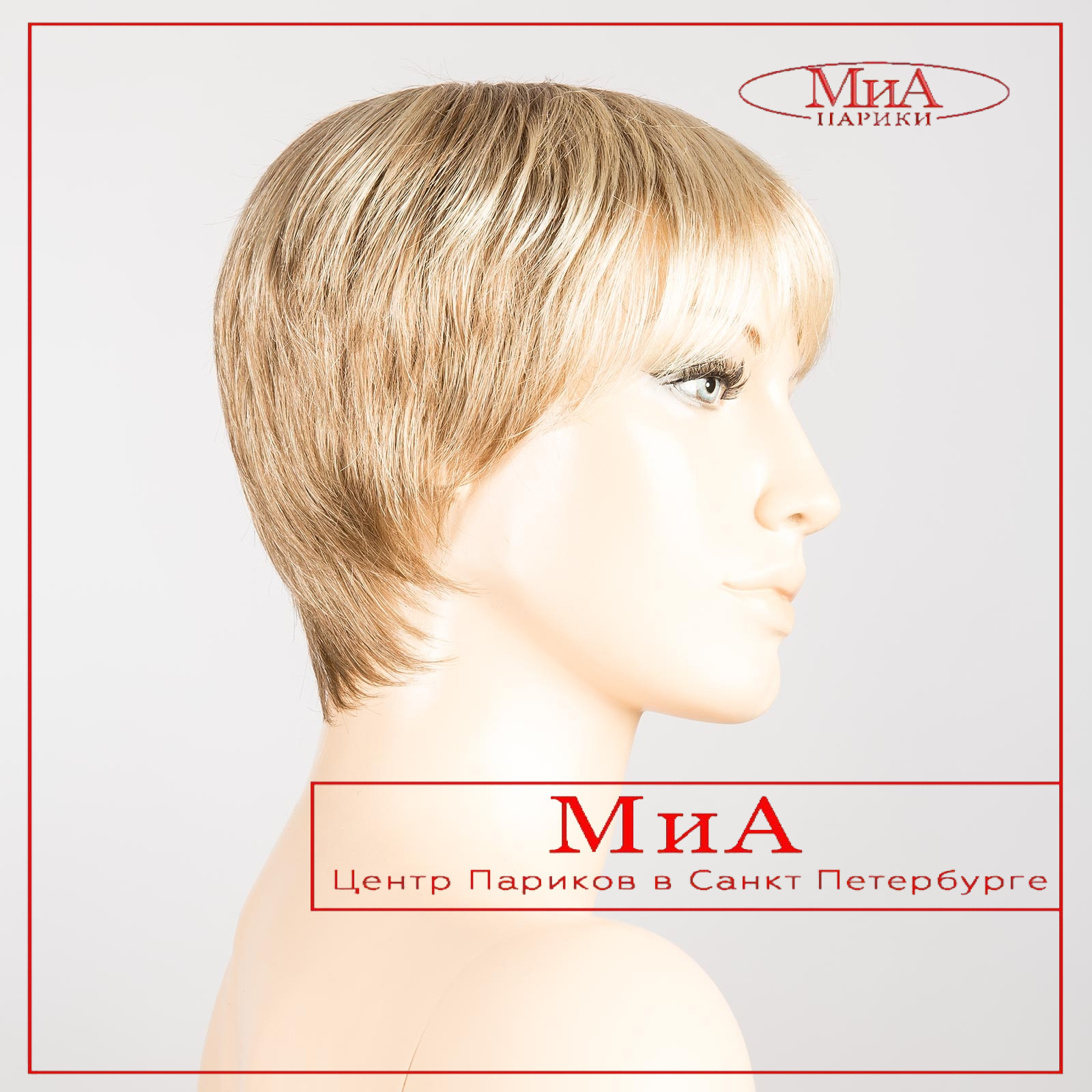 ginger_ginger_small_1 1