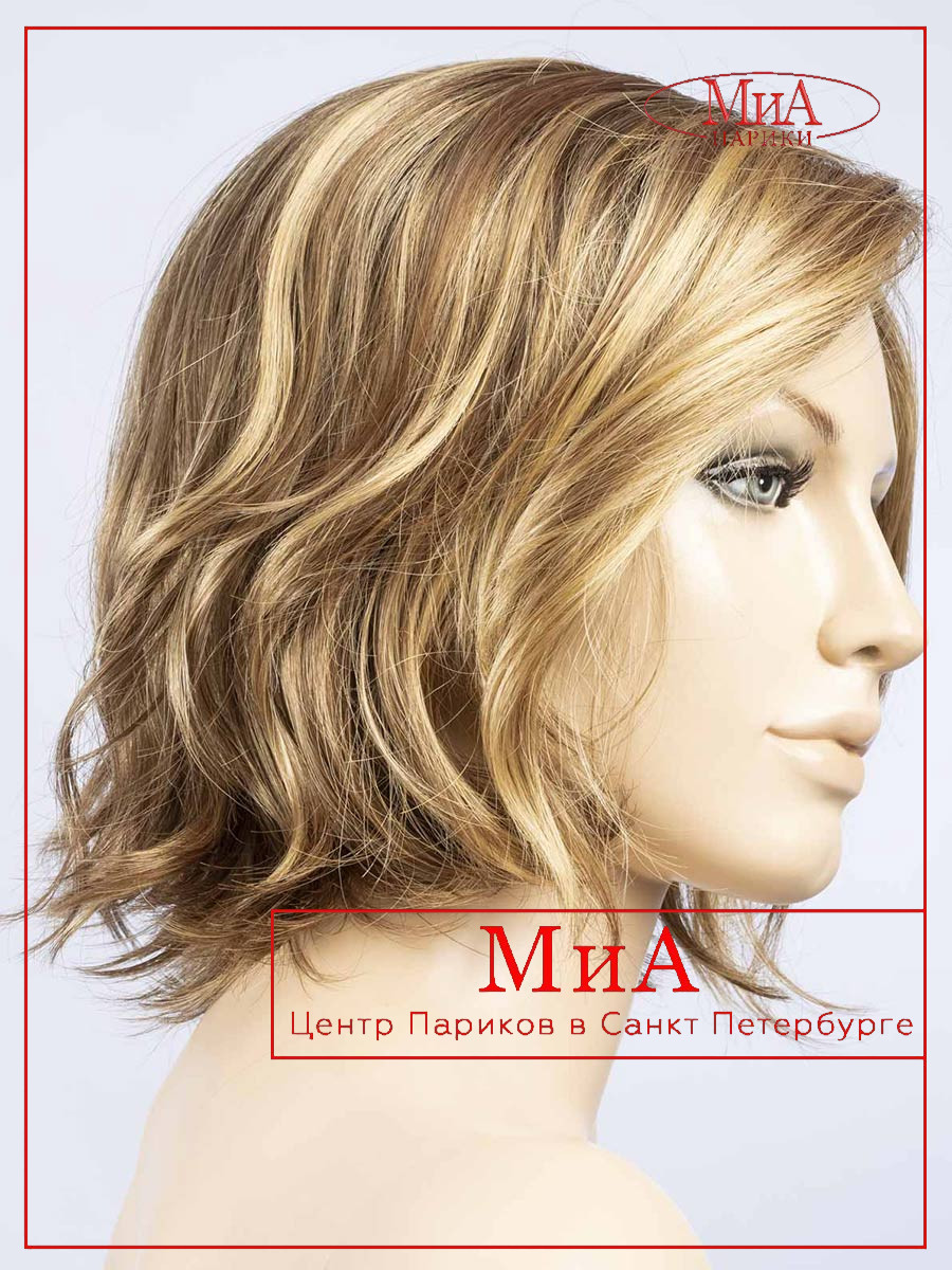 nola-mono-bernstein-multi-shad-bs