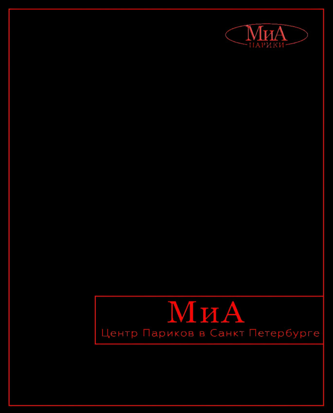 клипса, комплект 4 штуки. Маленький размер. (черный)