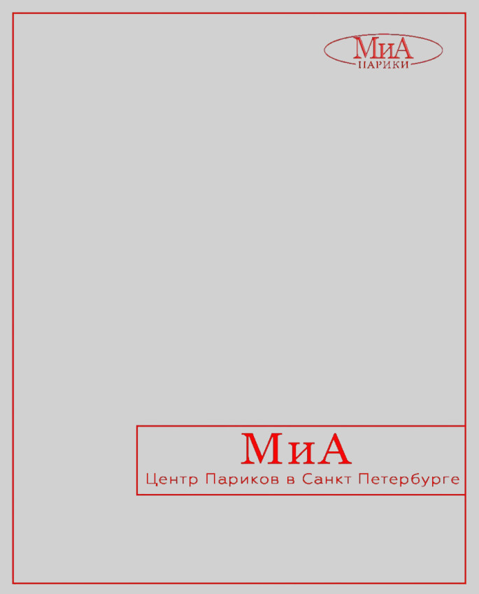 клипса, комплект 4 штуки. Маленький размер. (стальной)