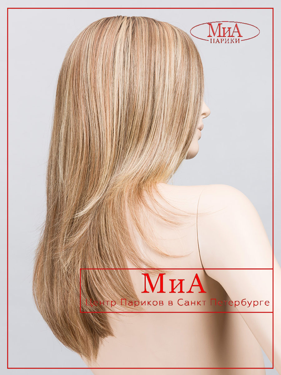 light-bernstein-rooted