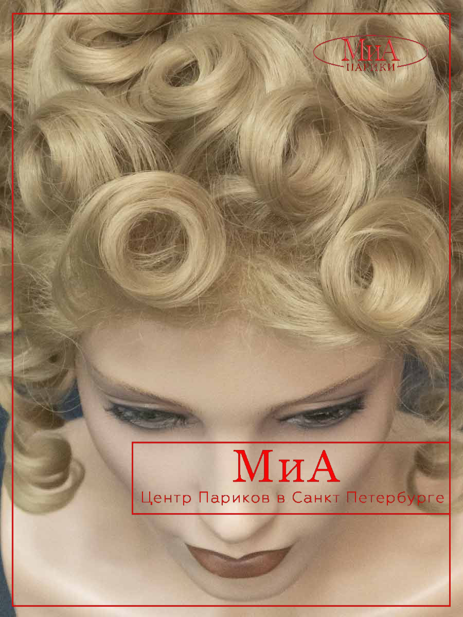 PRIDVORNAJA-965-16-8-1