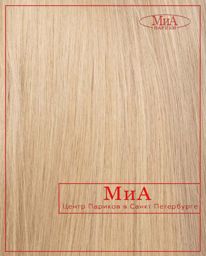 DIVA 352 HH (Y 8/16/27)