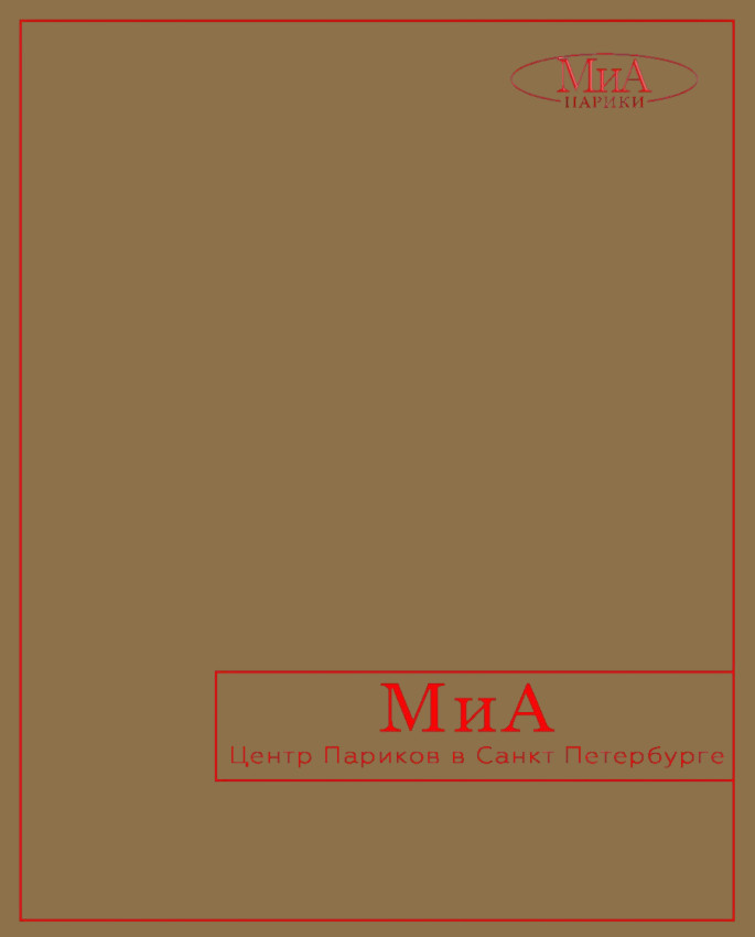 клипса, комплект 4 штуки. Стандартный размер. (коричневый)