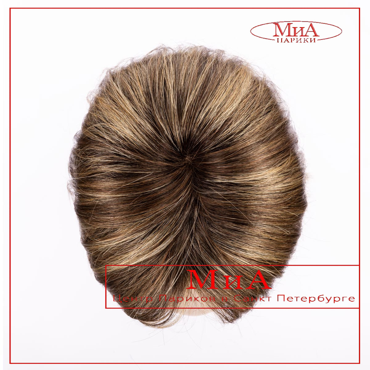 limit-II-bernstein-rooted