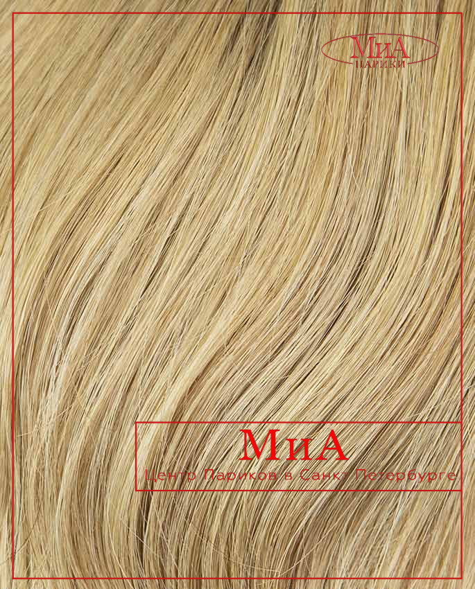 LIANA 347 HH (R 8/16/27)
