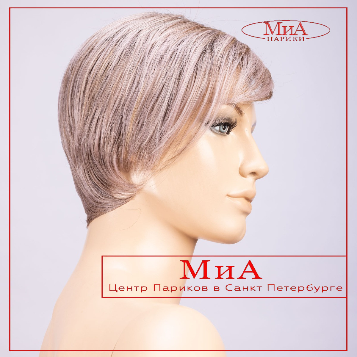 _link-lavender-rooted-bs