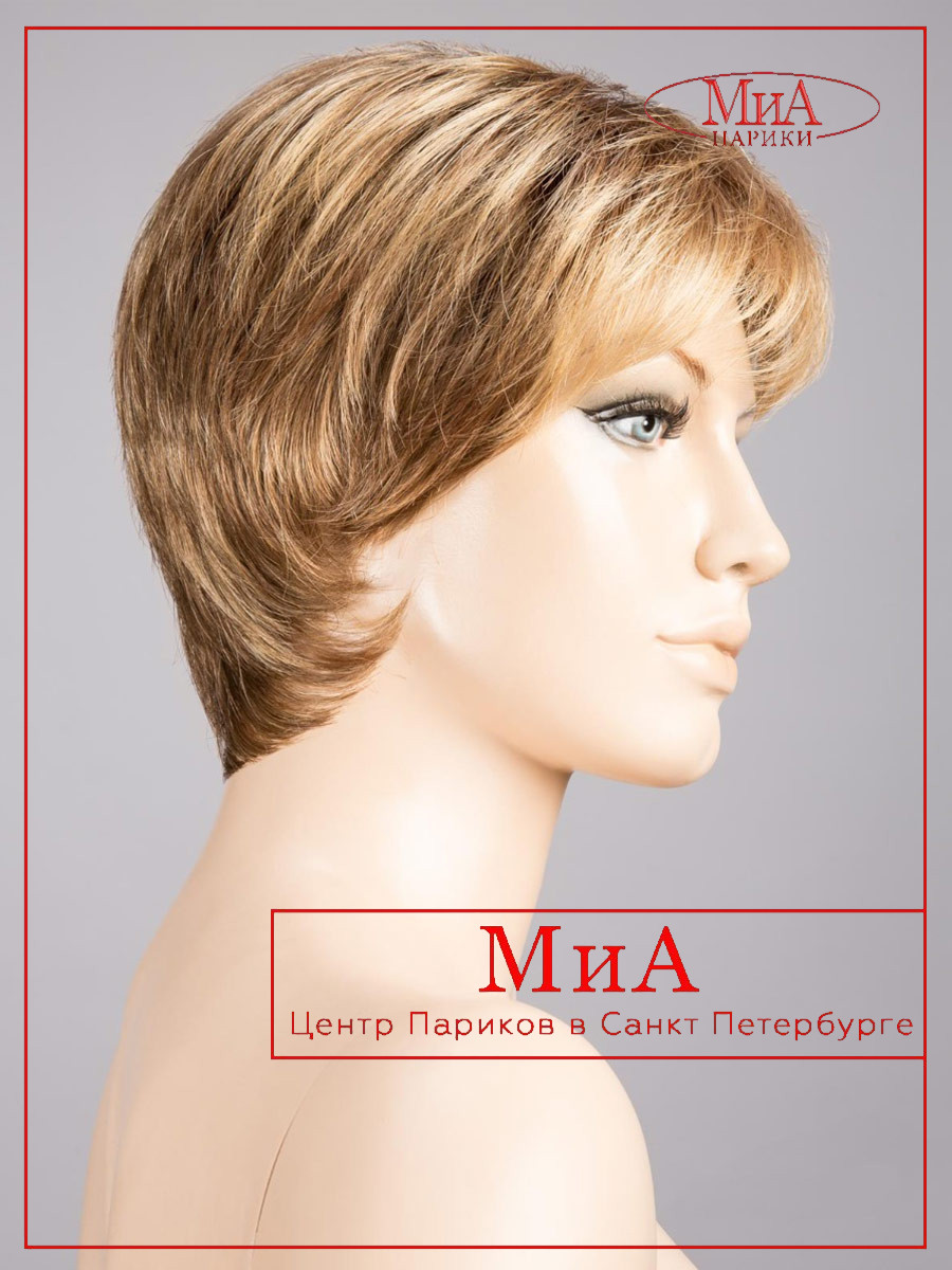 _bernstein-multi-shad