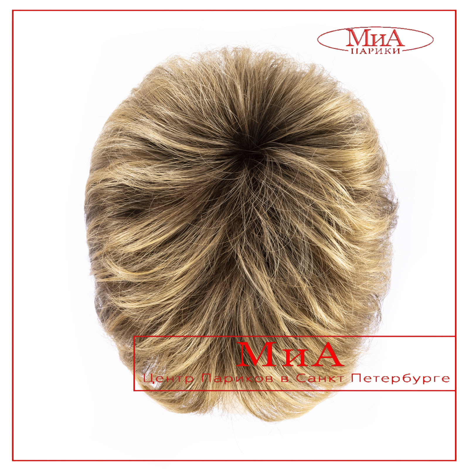 napoli-soft-bernstein-multi-shad