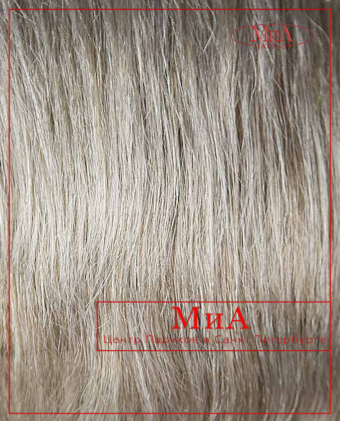 464 (17 T 101)