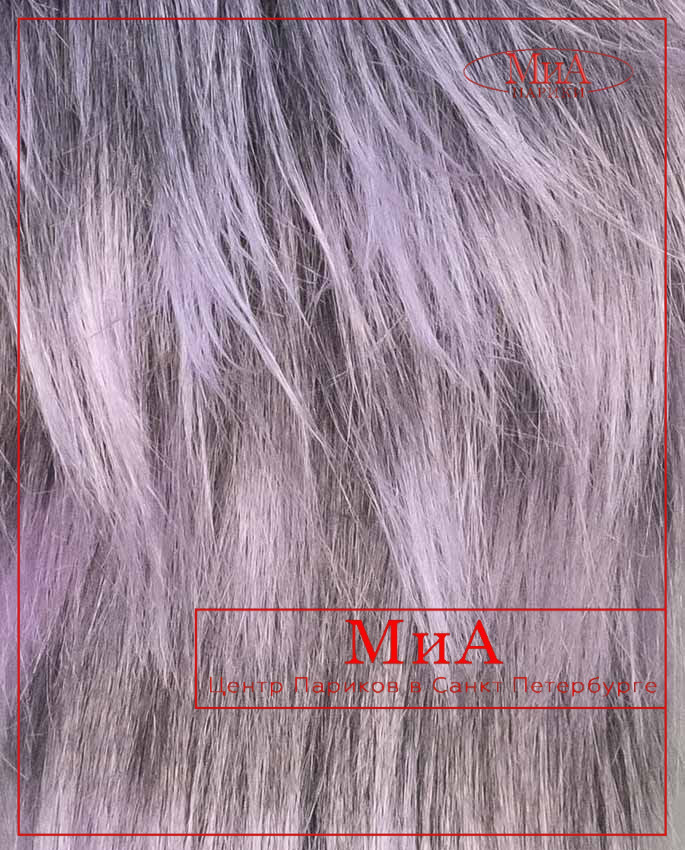 F 168 C (1 BTL PURPLE)