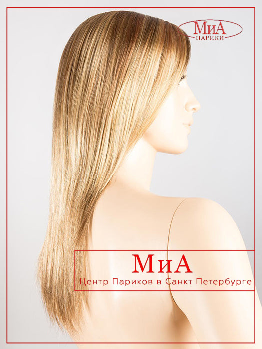 code-mono-light-bernstein-rooted_12.27.26_1024x1024