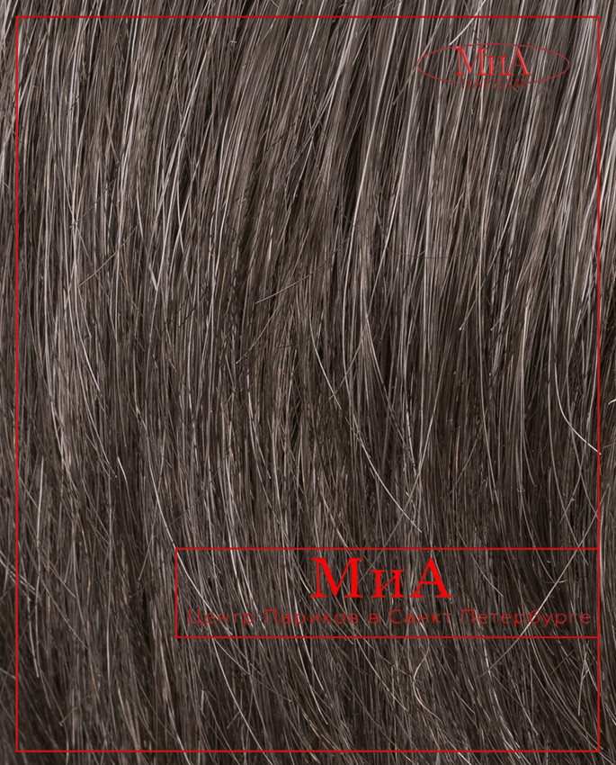 BRAD (M 34 s)
