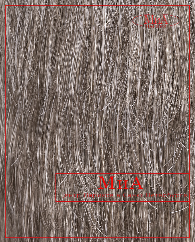 BRAD (M 46 s)
