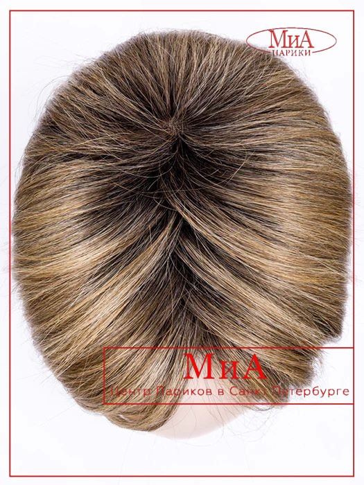 look-lightbernstein-rooted_1024x1024