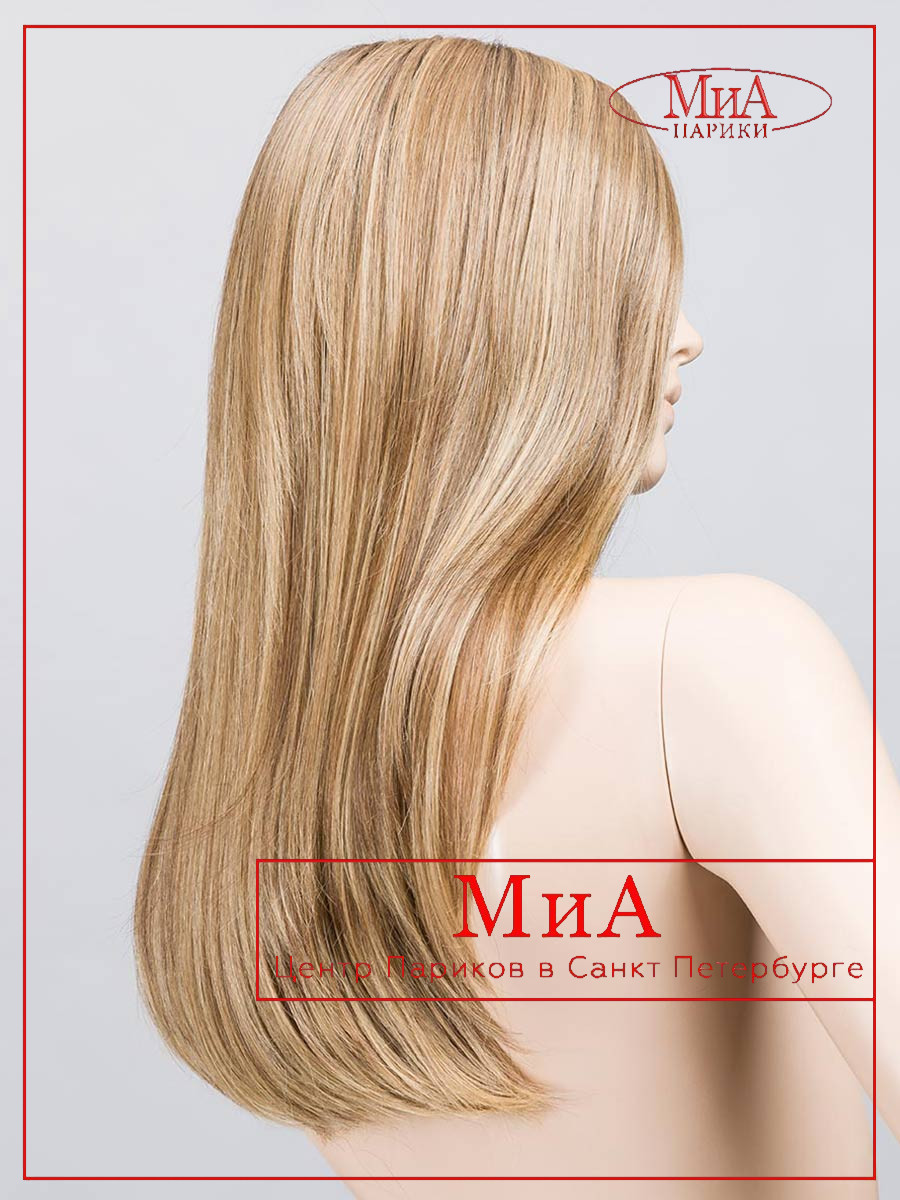 _light-bernstein-rooted